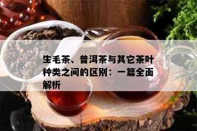 生毛茶、普洱茶与其它茶叶种类之间的区别：一篇全面解析