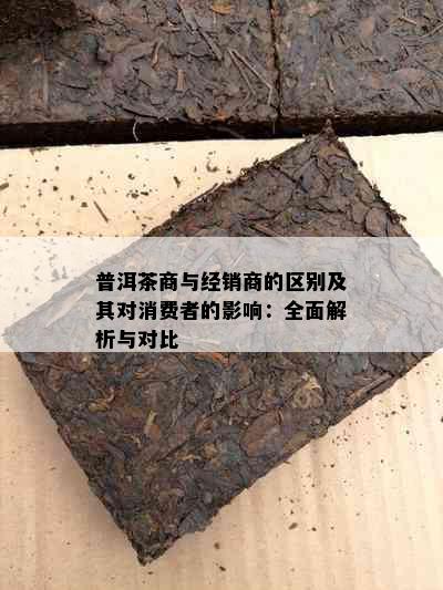 普洱茶商与经销商的区别及其对消费者的影响：全面解析与对比