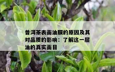 普洱茶表面油膜的原因及其对品质的影响：了解这一层油的真实面目