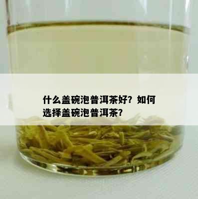 什么盖碗泡普洱茶好？如何选择盖碗泡普洱茶？