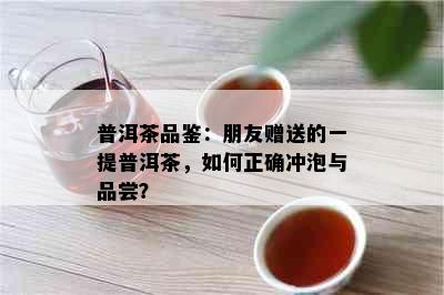 普洱茶品鉴：朋友赠送的一提普洱茶，如何正确冲泡与品尝？