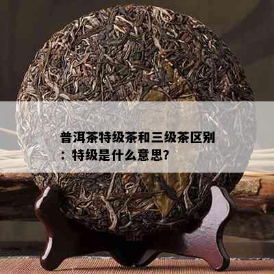 普洱茶特级茶和三级茶区别：特级是什么意思？