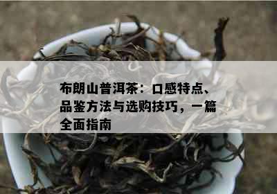 布朗山普洱茶：口感特点、品鉴方法与选购技巧，一篇全面指南