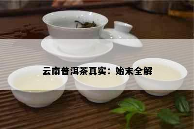 云南普洱茶真实：始末全解