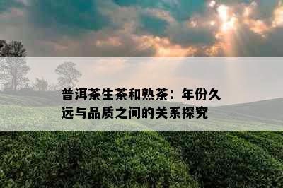 普洱茶生茶和熟茶：年份久远与品质之间的关系探究