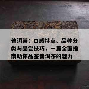 普洱茶：口感特点、品种分类与品尝技巧，一篇全面指南助你品鉴普洱茶的魅力