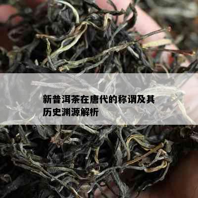 新普洱茶在唐代的称谓及其历史渊源解析