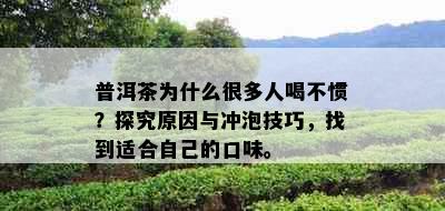 普洱茶为什么很多人喝不惯？探究原因与冲泡技巧，找到适合自己的口味。