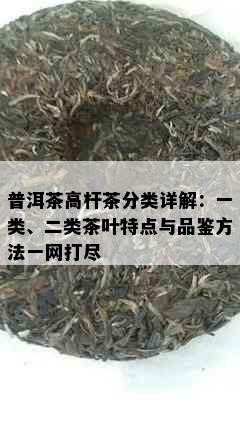 普洱茶高杆茶分类详解：一类、二类茶叶特点与品鉴方法一网打尽