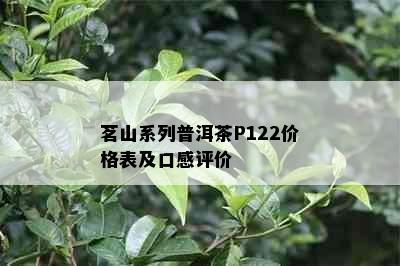 茗山系列普洱茶P122价格表及口感评价