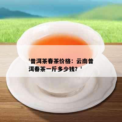 '普洱茶春茶价格：云南普洱春茶一斤多少钱？'