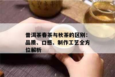 普洱茶春茶与秋茶的区别：品质、口感、制作工艺全方位解析