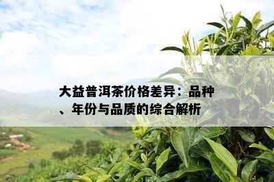 大益普洱茶价格差异：品种、年份与品质的综合解析