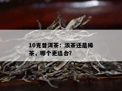 10克普洱茶：浓茶还是稀茶，哪个更适合？