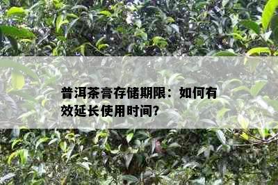 普洱茶膏存储期限：如何有效延长使用时间？