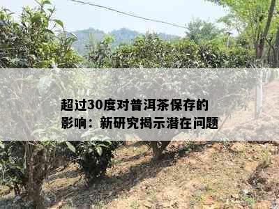 超过30度对普洱茶保存的影响：新研究揭示潜在问题