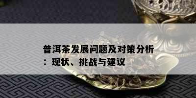 普洱茶发展问题及对策分析：现状、挑战与建议