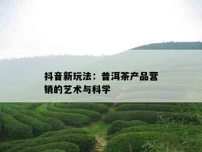 抖音新玩法：普洱茶产品营销的艺术与科学