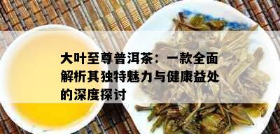 大叶至尊普洱茶：一款全面解析其独特魅力与健康益处的深度探讨