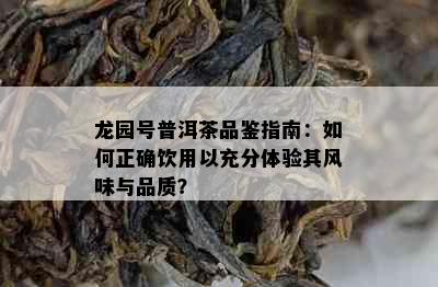 龙园号普洱茶品鉴指南：如何正确饮用以充分体验其风味与品质？