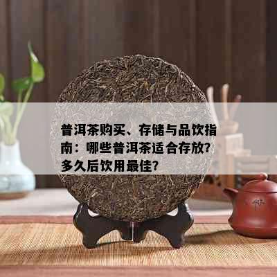 普洱茶购买、存储与品饮指南：哪些普洱茶适合存放？多久后饮用更佳？