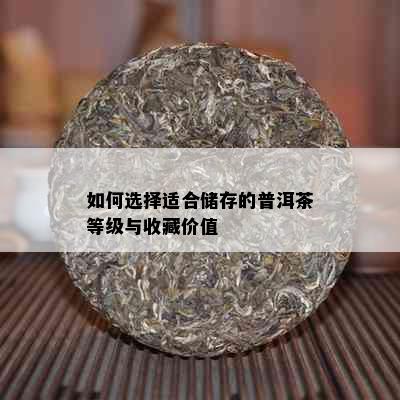 如何选择适合储存的普洱茶等级与收藏价值