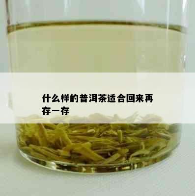 什么样的普洱茶适合回来再存一存