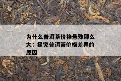 为什么普洱茶价格悬殊那么大：探究普洱茶价格差异的原因