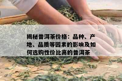 揭秘普洱茶价格：品种、产地、品质等因素的影响及如何选购性价比高的普洱茶