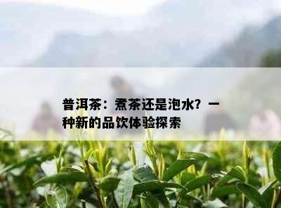 普洱茶：煮茶还是泡水？一种新的品饮体验探索