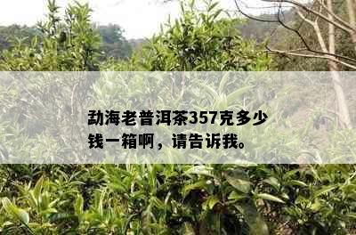 勐海老普洱茶357克多少钱一箱啊，请告诉我。