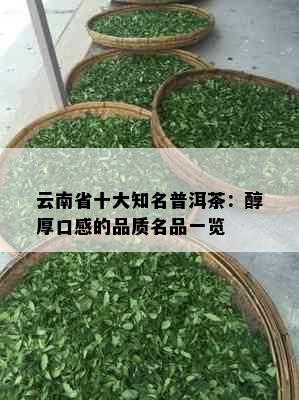 云南省十大知名普洱茶：醇厚口感的品质名品一览