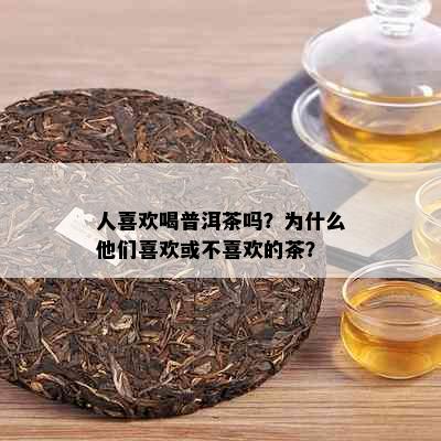 人喜欢喝普洱茶吗？为什么他们喜欢或不喜欢的茶？