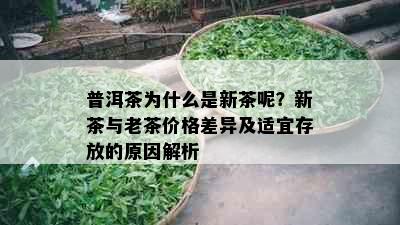 普洱茶为什么是新茶呢？新茶与老茶价格差异及适宜存放的原因解析