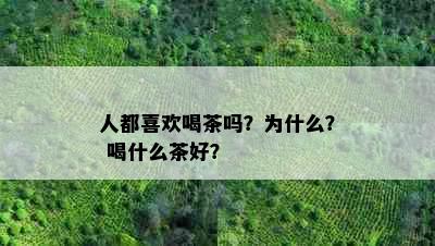 人都喜欢喝茶吗？为什么？ 喝什么茶好？