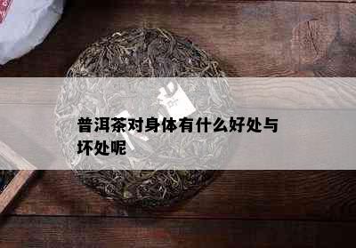 普洱茶对身体有什么好处与坏处呢