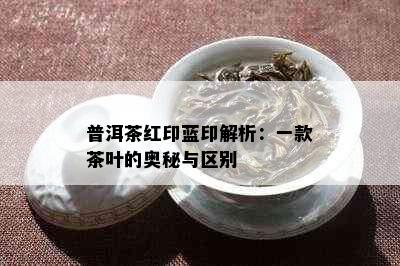 普洱茶红印蓝印解析：一款茶叶的奥秘与区别