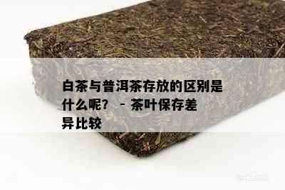 白茶与普洱茶存放的区别是什么呢？ - 茶叶保存差异比较