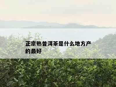 正宗熟普洱茶是什么地方产的更好