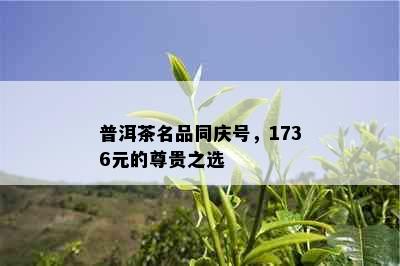 普洱茶名品同庆号，1736元的尊贵之选