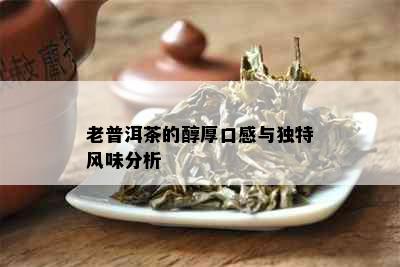 老普洱茶的醇厚口感与独特风味分析