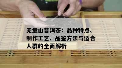 无量山普洱茶：品种特点、制作工艺、品鉴方法与适合人群的全面解析