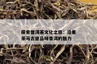 探索普洱茶文化之旅：沿着茶马古道品味普洱的魅力