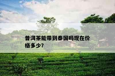 普洱茶能带到泰国吗现在价格多少？