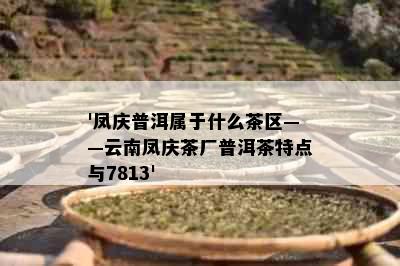 '凤庆普洱属于什么茶区——云南凤庆茶厂普洱茶特点与7813'