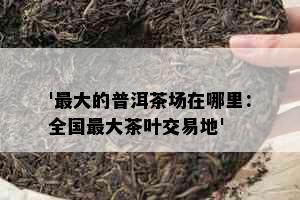 '更大的普洱茶场在哪里：全国更大茶叶交易地'