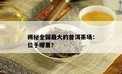 揭秘全国更大的普洱茶场：位于哪里？