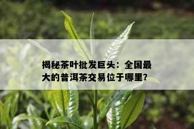 揭秘茶叶批发巨头：全国更大的普洱茶交易位于哪里？