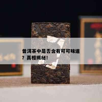 普洱茶中是否含有可可味道？真相揭秘！