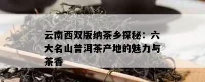 云南西双版纳茶乡探秘：六大名山普洱茶产地的魅力与茶香